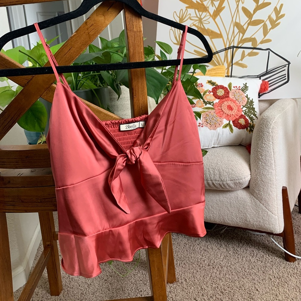 2bella Crop Top in Pink - Size Large